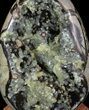 Huge, Septarian Dragon Egg Geode - Yellow Crystals #63134-1